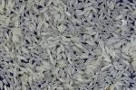  image de l'aliment Riz blanc, cru