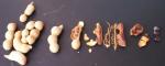  image de l'aliment Tamarin, fruit immature, pulpe, cru