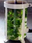  image de l'aliment Tisane infusée, non sucrée