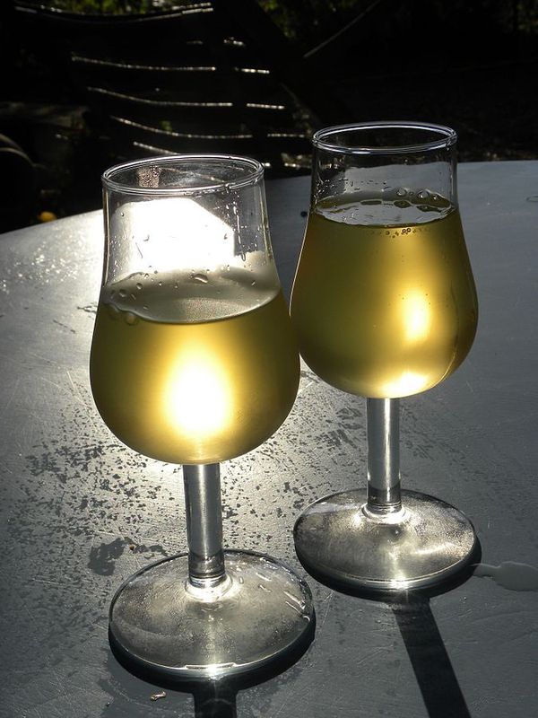 Icône de verre de vin blanc