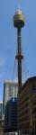 gratte-ciel : Sydney Tower