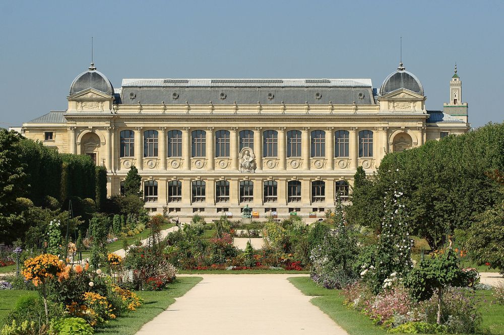 Le magnifique et paisible  Jardin des Plantes accueille les locaux du Muséum National d'Histoire Naturelle.