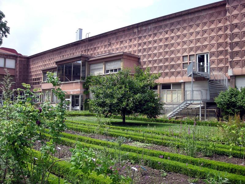 Musée de Zoologie - Aquarium Tropical.