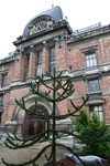 musée : Galerie d'Anatomie Comparée et de Paléontologie (Muséum d'Histoire Naturelle)