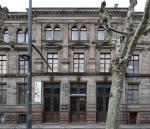 musée : Musée Zoologique de l'Université Louis Pasteur et de la Ville de Strasbourg
