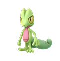 Image du Pokémon GO Arcko