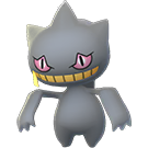 Image du Pokémon GO Branette