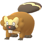 Image du Pokémon GO Castorno