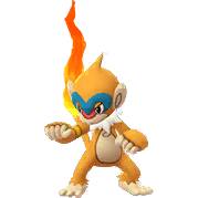 Image du Pokémon GO Chimpenfeu