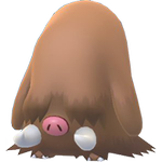 Image du Pokémon GO Cochignon