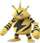 Image du Pokémon GO Elektek