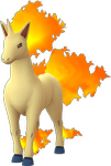Image du Pokémon GO Galopa