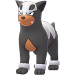 Image du Pokémon GO Malosse