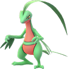 Image du Pokémon GO Massko
