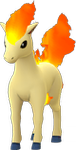Image du Pokémon GO Ponyta