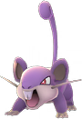Image du Pokémon GO Rattata