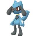 Image du Pokémon GO Riolu