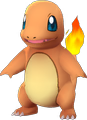 Image du Pokémon GO Salamèche