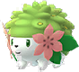 Image du Pokémon GO Shaymin