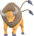 Image du Pokémon GO Tauros