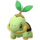 Image du Pokémon GO Tortipouss