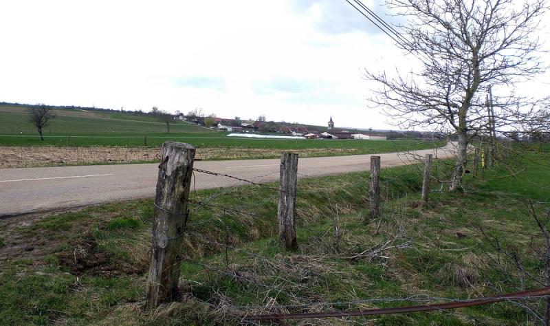 Avranville, vue d’est, dans le département des Vosges.