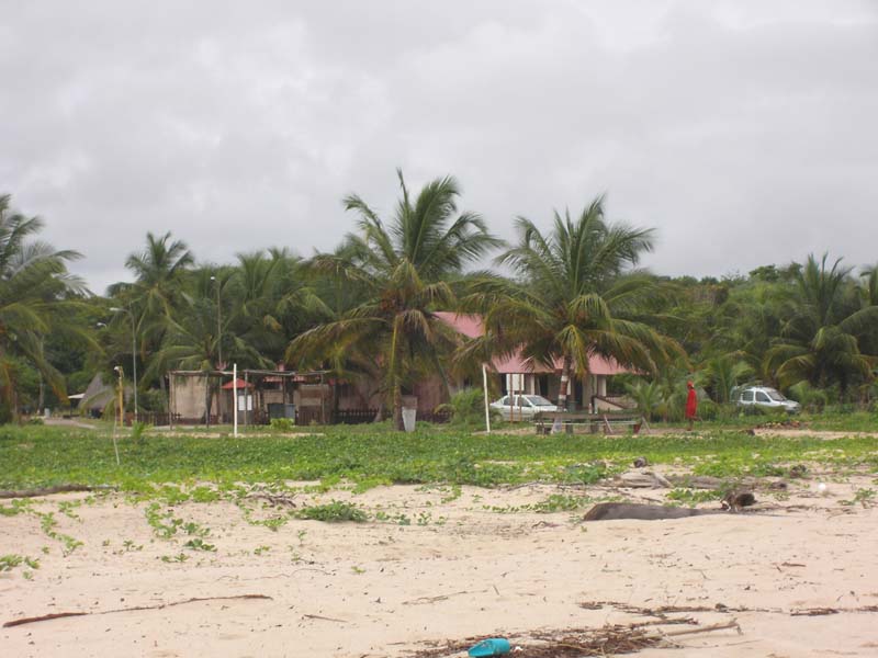 Village de Yalimapo depuis la plage des Hattes Awala-Yalimapo, Guyane.