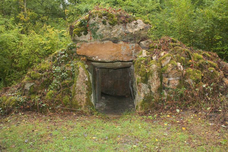 Le dolmen du Reclus à Bannay, dans le département de la Marne.