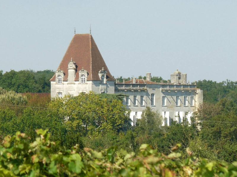 Château de Bourg, dans le département de la Charente.