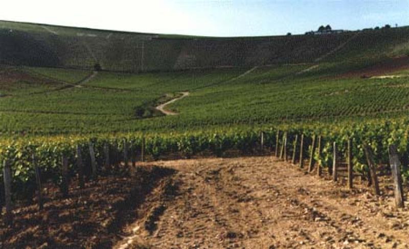 Cirque de Bué, ville des viticulteurs, dans le département du Cher.