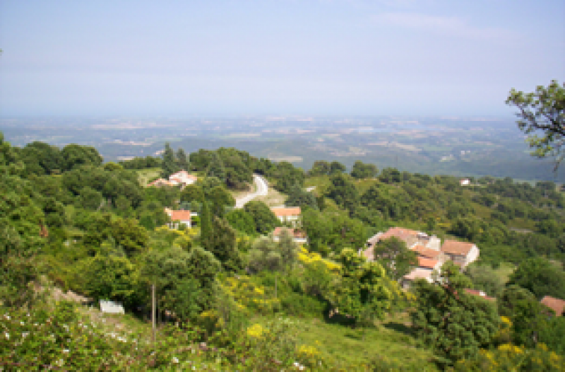 Commune de Casevecchie, dans le département de la Haute-Corse.