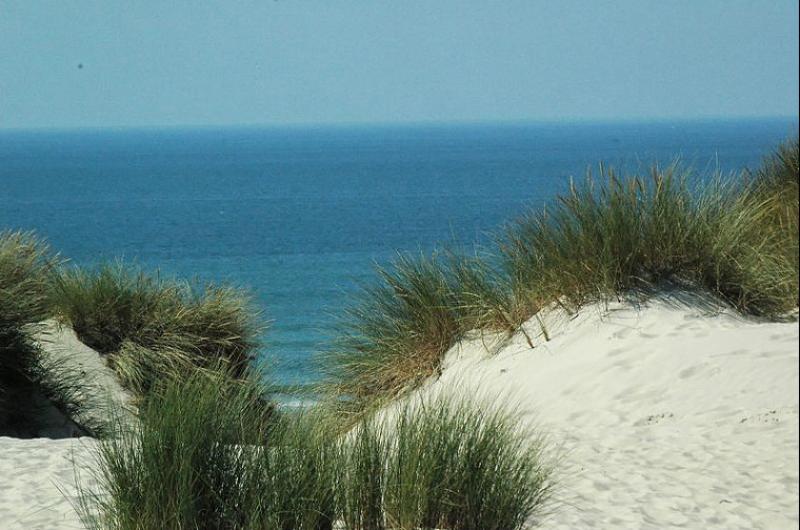 La plage de Stella plage à Cucq vue des dunes, dans le département du Pas-de-Calais.