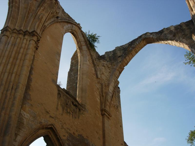 Ruines de l'abbaye du Lys.