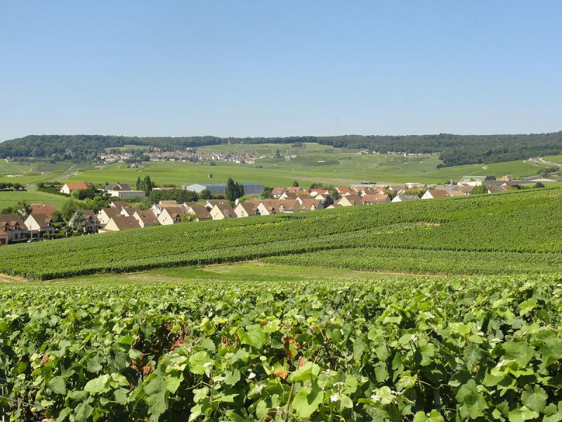 Le lotissement de la Terre du Crayon à Dizy, dans le département de la Marne.