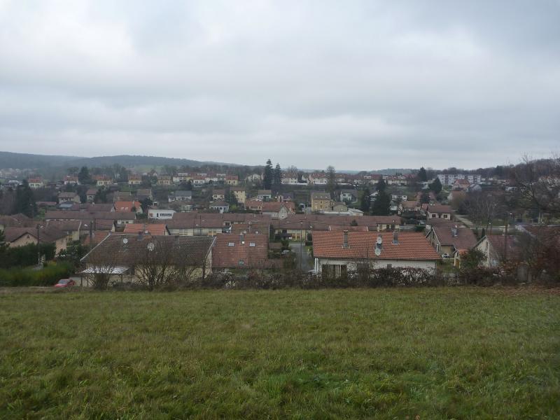 Photo offrant une vue partielle du village français de Fesche-le-Châtel.