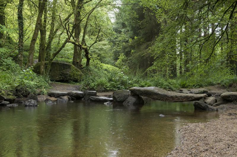 Le gué (ancien pont) sur la Rivière d'Argent 2.