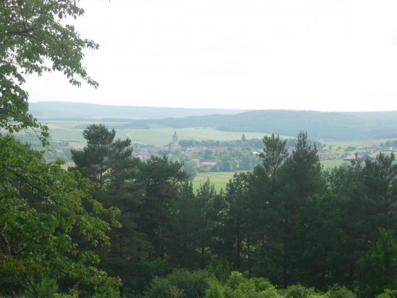 Laferté-sur-Aube vue depuis les bois.