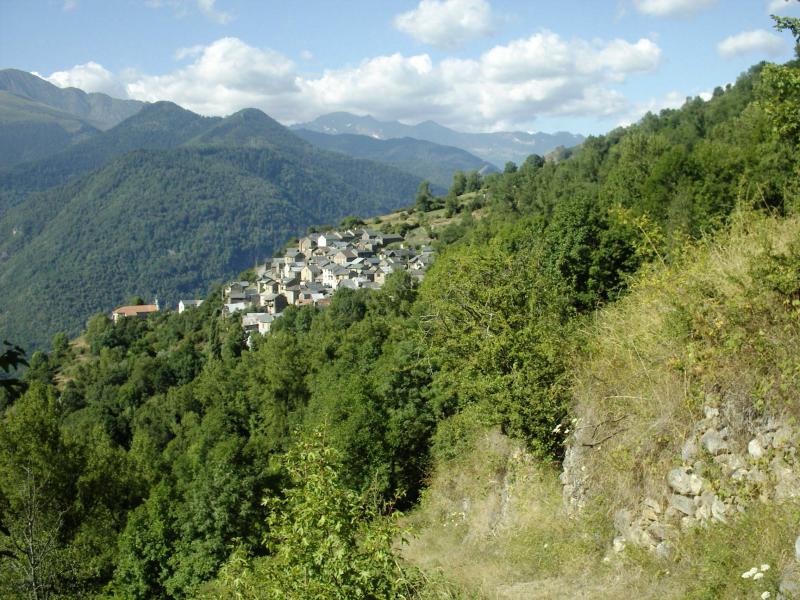 Vue générale.