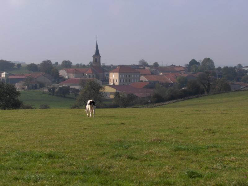 Vue sur le village en arrivant de Gondrecourt-le-Château, dans le département de la Meuse.