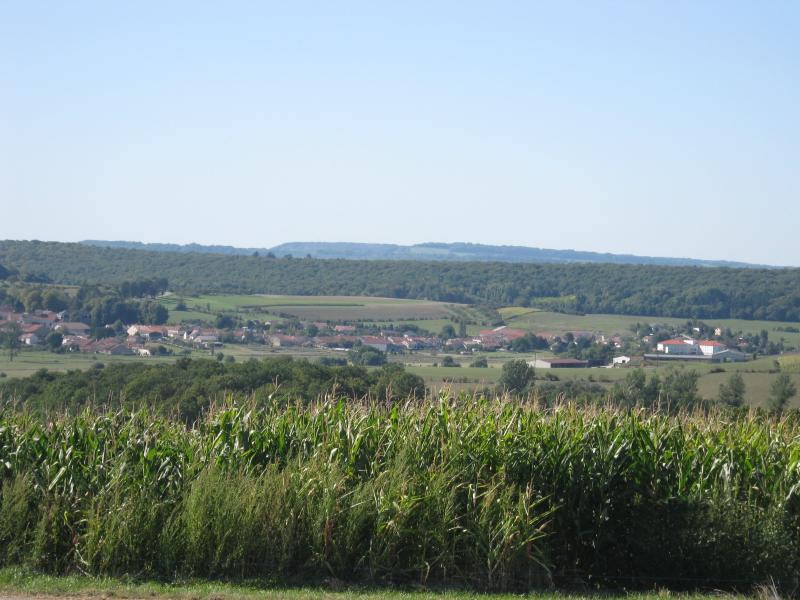 Vue générale de Mandres-sur-Vair.