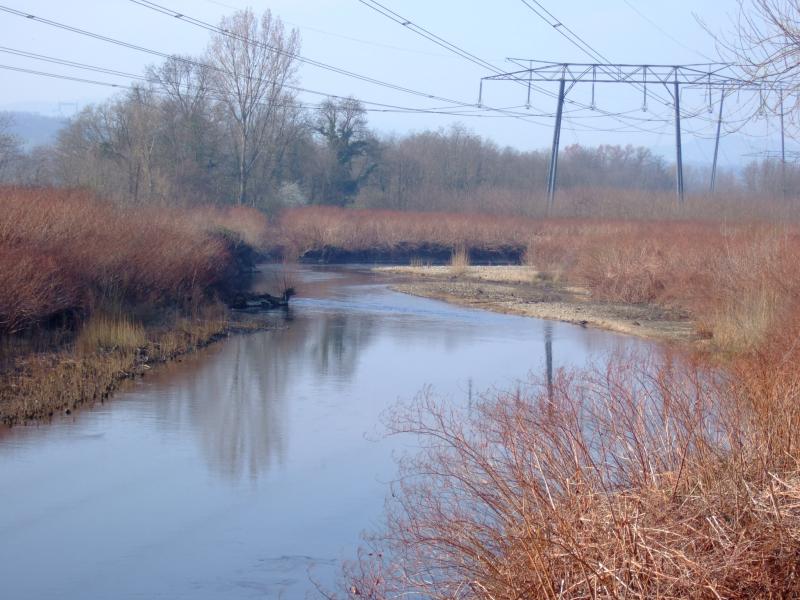 L'Azergues entre Chazay-d'Azergues et Marcilly-d'Azergues.