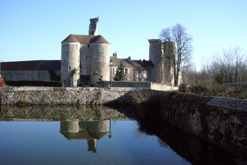 Ruines du château de Montépilloy avec l'abreuvoir au premier plan.