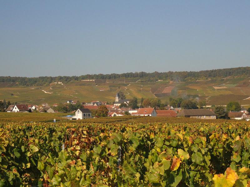 Vue du centre d'Oger depuis un chemin de vigne entre Le Mesnil et Avize, dans le département de la Marne.