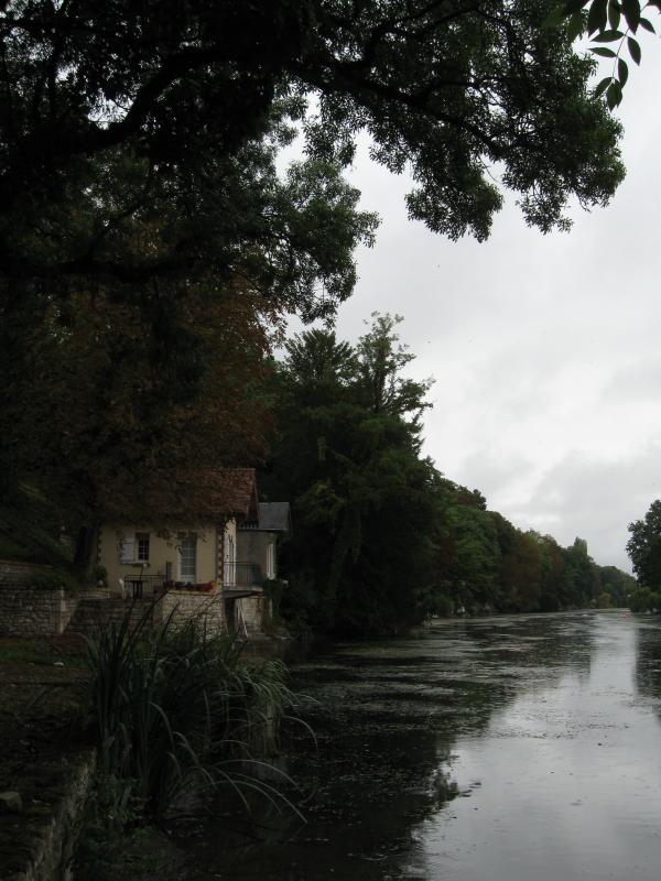 Rives du Loiret à Olivet.