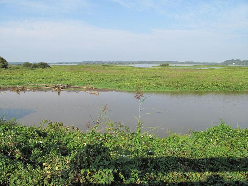 Le marais de la commune d'Orx, dans le département des Landes.