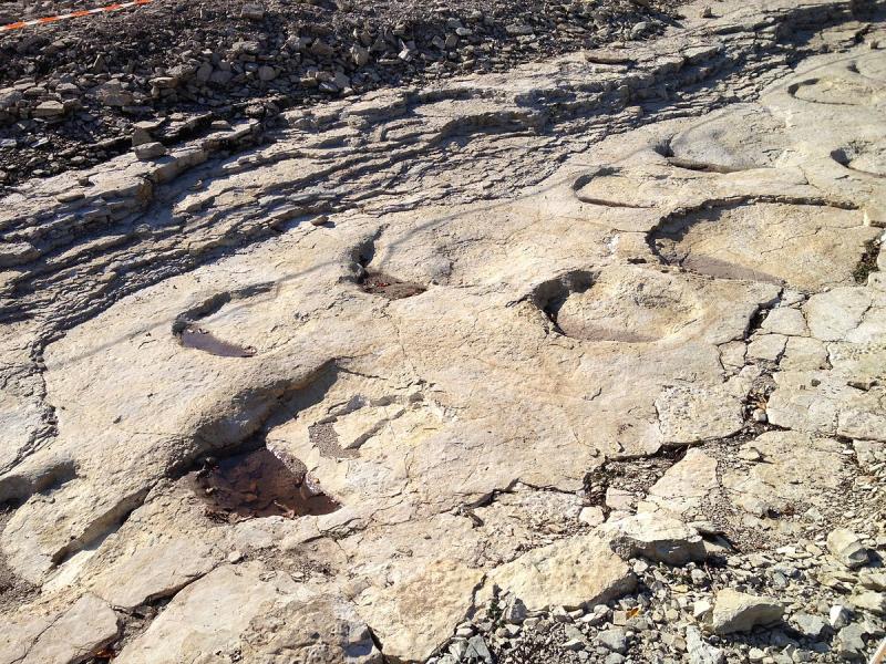 Empreintes de sauropode à Plagne, dans le département de l'Ain.