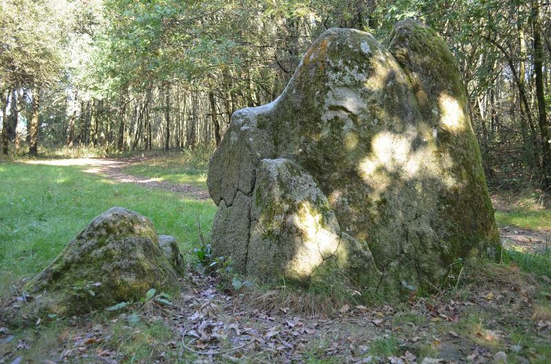  Menhir des Dames de Pierre à Pont-Saint-Martin.
