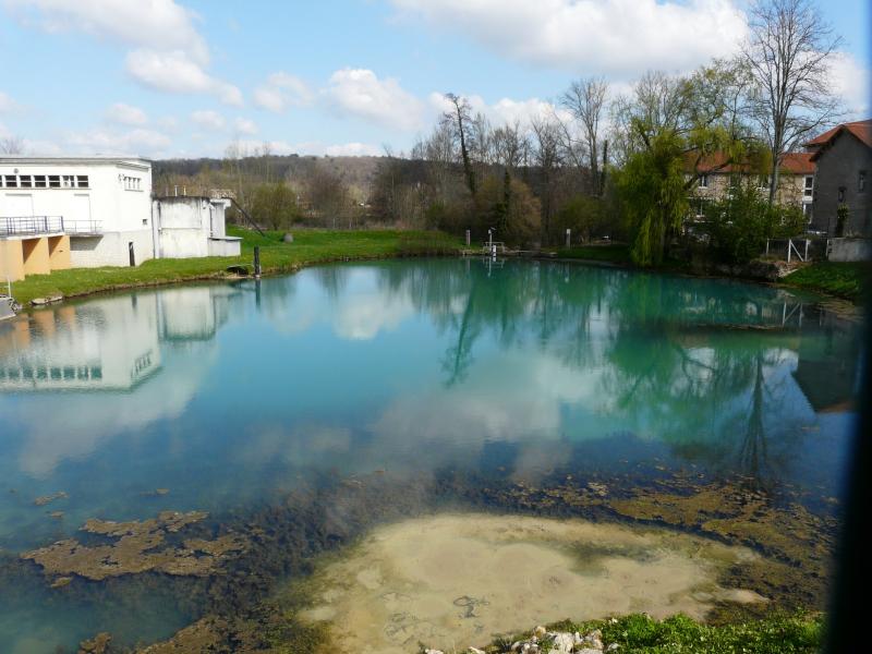 La source des Moulineaux, à Razac-sur-l'Isle.
