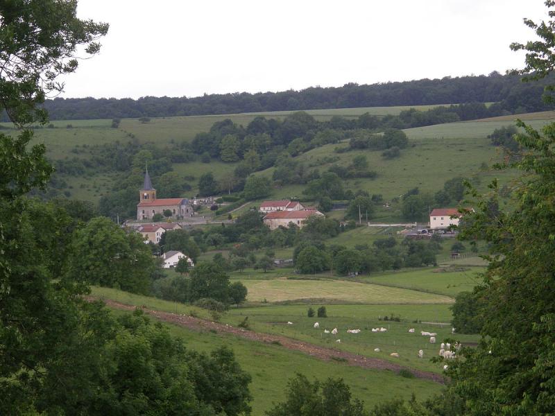  Vue générale du village de Réville-aux-Bois.