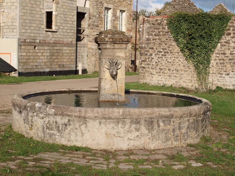 Saint-André-en-Terre-Plaine,  hameau de Chevannes , fontaine publique.